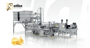 Types of chips production lines